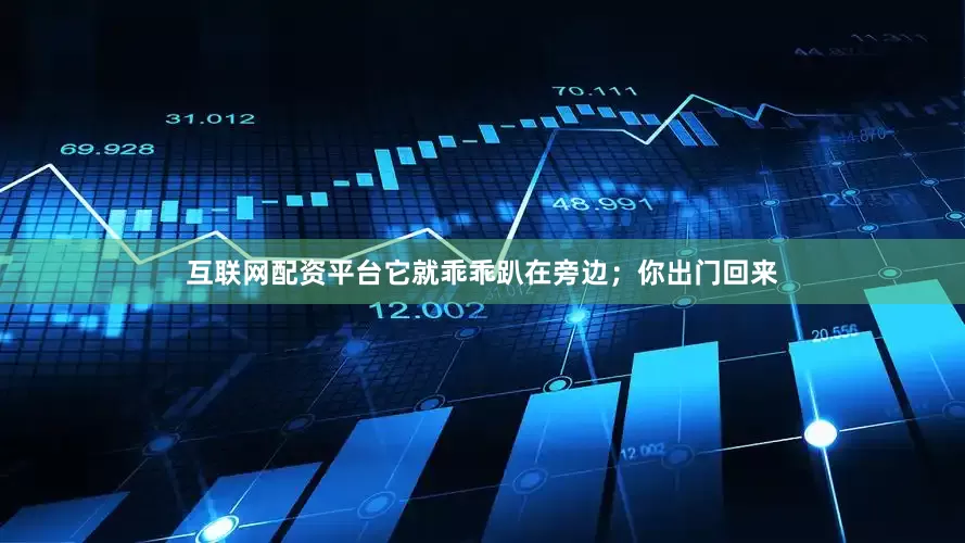互联网配资平台它就乖乖趴在旁边；你出门回来
