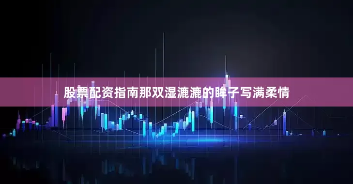 股票配资指南那双湿漉漉的眸子写满柔情