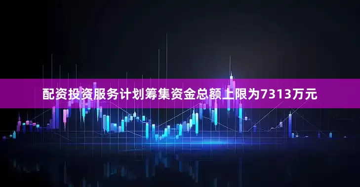 配资投资服务计划筹集资金总额上限为7313万元